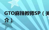 GTO麻辣教师SP（关于GTO麻辣教师SP的简介）