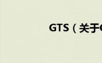GTS（关于GTS的简介）