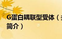 G蛋白耦联型受体（关于G蛋白耦联型受体的简介）