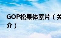GOP松果体素片（关于GOP松果体素片的简介）