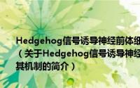 Hedgehog信号诱导神经前体细胞恶性转化中miRNA的作用及其机制（关于Hedgehog信号诱导神经前体细胞恶性转化中miRNA的作用及其机制的简介）