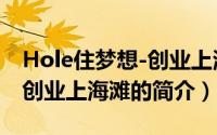 Hole住梦想-创业上海滩（关于Hole住梦想-创业上海滩的简介）