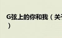 G弦上的你和我（关于G弦上的你和我的简介）