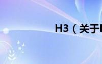 H3（关于H3的简介）