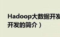 Hadoop大数据开发（关于Hadoop大数据开发的简介）