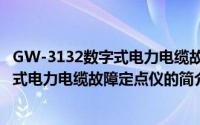 GW-3132数字式电力电缆故障定点仪（关于GW-3132数字式电力电缆故障定点仪的简介）