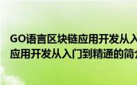 GO语言区块链应用开发从入门到精通（关于GO语言区块链应用开发从入门到精通的简介）