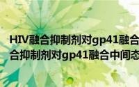 HIV融合抑制剂对gp41融合中间态作用的研究（关于HIV融合抑制剂对gp41融合中间态作用的研究的简介）