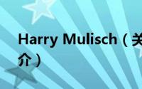 Harry Mulisch（关于Harry Mulisch的简介）
