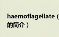 haemoflagellate（关于haemoflagellate的简介）