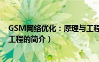 GSM网络优化：原理与工程（关于GSM网络优化：原理与工程的简介）