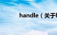 handle（关于handle的简介）