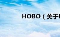 HOBO（关于HOBO的简介）