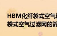 HBM化纤袋式空气过滤网（关于HBM化纤袋式空气过滤网的简介）