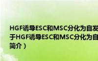 HGF诱导ESC和MSC分化为自发搏动的心肌细胞及其分子机理研究（关于HGF诱导ESC和MSC分化为自发搏动的心肌细胞及其分子机理研究的简介）