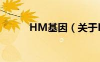 HM基因（关于HM基因的简介）