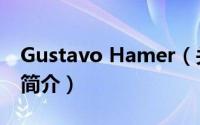 Gustavo Hamer（关于Gustavo Hamer的简介）