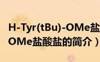 H-Tyr(tBu)-OMe盐酸盐（关于H-Tyr(tBu)-OMe盐酸盐的简介）