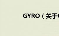 GYRO（关于GYRO的简介）