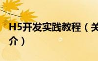 H5开发实践教程（关于H5开发实践教程的简介）