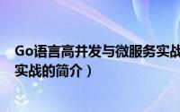 Go语言高并发与微服务实战（关于Go语言高并发与微服务实战的简介）