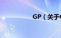 GP（关于GP的简介）