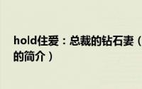 hold住爱：总裁的钻石妻（关于hold住爱：总裁的钻石妻的简介）
