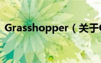 Grasshopper（关于Grasshopper的简介）
