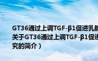 GT36通过上调TGF-β1促进乳腺癌细胞EMT及转移的作用机制研究（关于GT36通过上调TGF-β1促进乳腺癌细胞EMT及转移的作用机制研究的简介）
