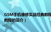 GSM手机维修实战经典教程（关于GSM手机维修实战经典教程的简介）