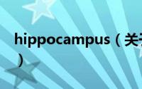 hippocampus（关于hippocampus的简介）