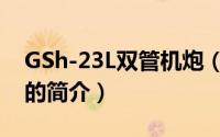 GSh-23L双管机炮（关于GSh-23L双管机炮的简介）