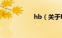 hb（关于hb的简介）