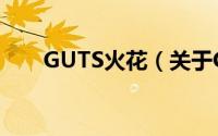 GUTS火花（关于GUTS火花的简介）