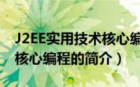 J2EE实用技术核心编程（关于J2EE实用技术核心编程的简介）