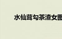 水仙茸勾茶渣女图鉴（水仙茸勾茶）