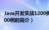 Java开发实战1200例（关于Java开发实战1200例的简介）