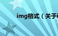 img格式（关于img格式的简介）