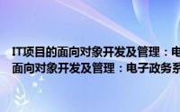 IT项目的面向对象开发及管理：电子政务系统案例分析（关于IT项目的面向对象开发及管理：电子政务系统案例分析的简介）