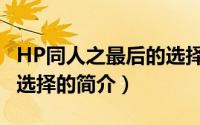 HP同人之最后的选择（关于HP同人之最后的选择的简介）