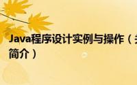 Java程序设计实例与操作（关于Java程序设计实例与操作的简介）