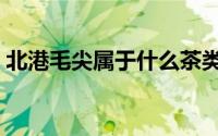 北港毛尖属于什么茶类（毛尖属于什么茶类）