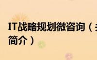 IT战略规划微咨询（关于IT战略规划微咨询的简介）