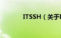 ITSSH（关于ITSSH的简介）