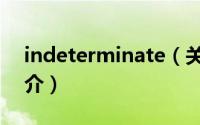 indeterminate（关于indeterminate的简介）