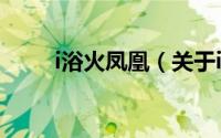 i浴火凤凰（关于i浴火凤凰的简介）