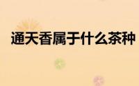 通天香属于什么茶种（通天香属于什么茶）