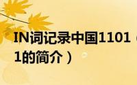 IN词记录中国1101（关于IN词记录中国1101的简介）