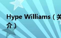 Hype Williams（关于Hype Williams的简介）