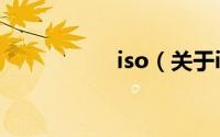 iso（关于iso的简介）